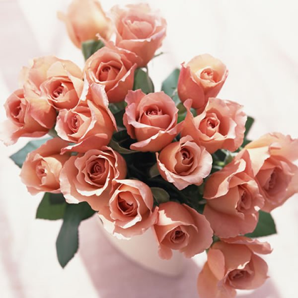 画像1: Rose vase (1)