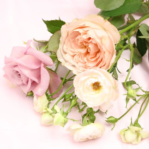 画像1: Rose  bouquet (1)